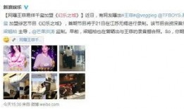 吃瓜偷拍无码视频网站,无码视频网站的黑暗面