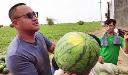 乌鲁木齐方仓吃瓜视频,真实记录方仓内的“吃瓜”日常