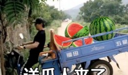 近期的吃瓜视频有哪些平台,各大平台精彩内容大盘点