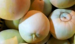 关于吃瓜的素材视频大全