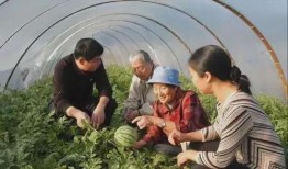 新疆吃瓜事件视频,揭秘背后真相与网络舆论风暴