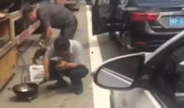 女人堵车吃瓜视频,意外走红网络