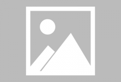 小瓜是怎么煮的吃的视频,家常美味轻松学