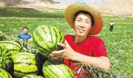 外国人吃硒砂瓜视频,惊艳味蕾直呼过瘾！