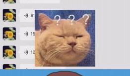 社畜吃瓜视频大全,揭秘吃瓜视频大全背后的职场生活