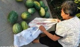 锦华吃瓜最新视频,揭秘娱乐圈最新热点事件