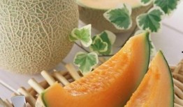 鹅会吃哈密瓜吗视频讲解,揭秘鹅是否会吃哈密瓜