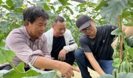 朱亭吃瓜最新视频,揭秘幕后故事，带你领略娱乐圈风云