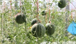 水峪矿最近吃瓜视频,揭秘矿工生活幕后真相