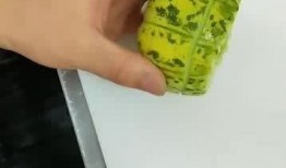 一个小小的吃瓜网友视频,一场网络热议背后的真相