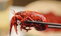 吃瓜和小龙虾视频,夏日美食视频盛宴