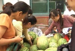 法国人帮忙吃瓜视频,跨国文化交流的趣味瞬间