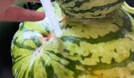 测评吃瓜搞笑视频大全集,带你领略欢乐无限