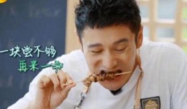 这个瓜你吃不吃视频,网络热传背后的真相与争议