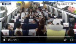 新乡吃瓜群众事件视频播放,网络视频引发的热议与反思