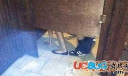 马桶吃瓜视频大全,揭秘热门视频背后的趣味与真相