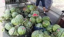 泉州最新吃瓜事件新闻视频,揭秘网络热议背后的真相