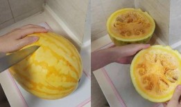 吃黄皮瓜视频教程,轻松学会家常美味