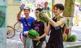 吃瓜视频艺术学院,揭秘艺术圈的趣味与魅力