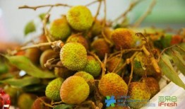 望都吃瓜视频,揭秘网络热点的背后故事