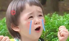 本特利吃瓜的视频,揭秘娱乐圈幕后真相