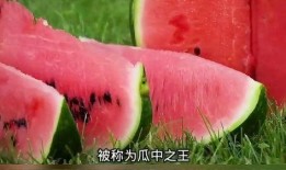 科普视频来啦看完这个再吃瓜,科普视频带你拨开吃瓜迷雾