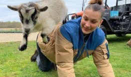 小羊哥爸爸吃瓜视频下载,揭秘娱乐圈幕后故事