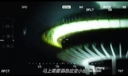 吃瓜狗子被套懵了视频在线观看,萌宠搞笑瞬间，在线观看笑不停