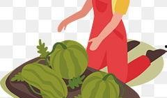 上帝吃瓜的视频素材下载,揭秘瓜界奇观