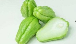 北方人吃佛手瓜视频