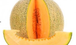 过年可吃哈密瓜吗视频教程,哈密瓜制作教程，轻松享受甜蜜时光