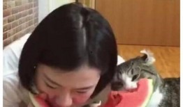 三姐的猫吃瓜视频